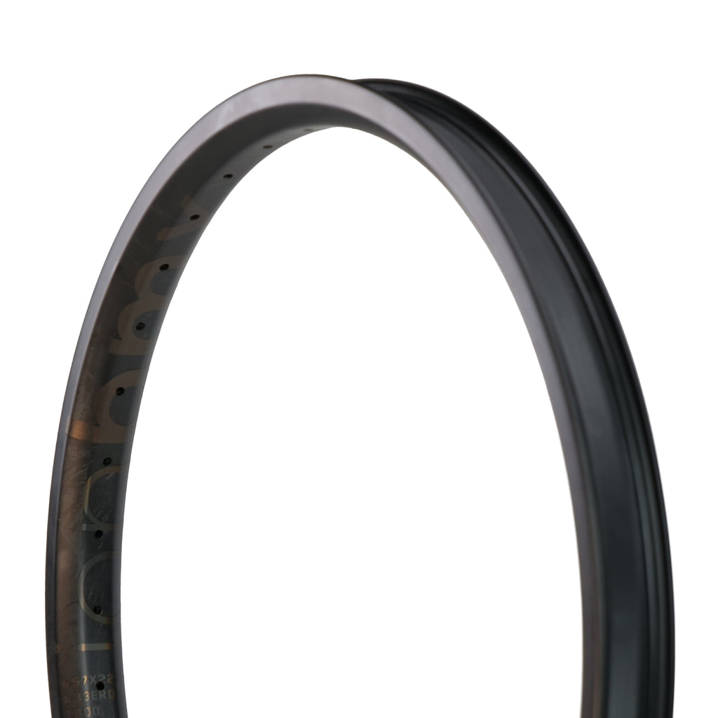 ION BMX C22 Carbon Fiber 22 Inch Brakeless Rim