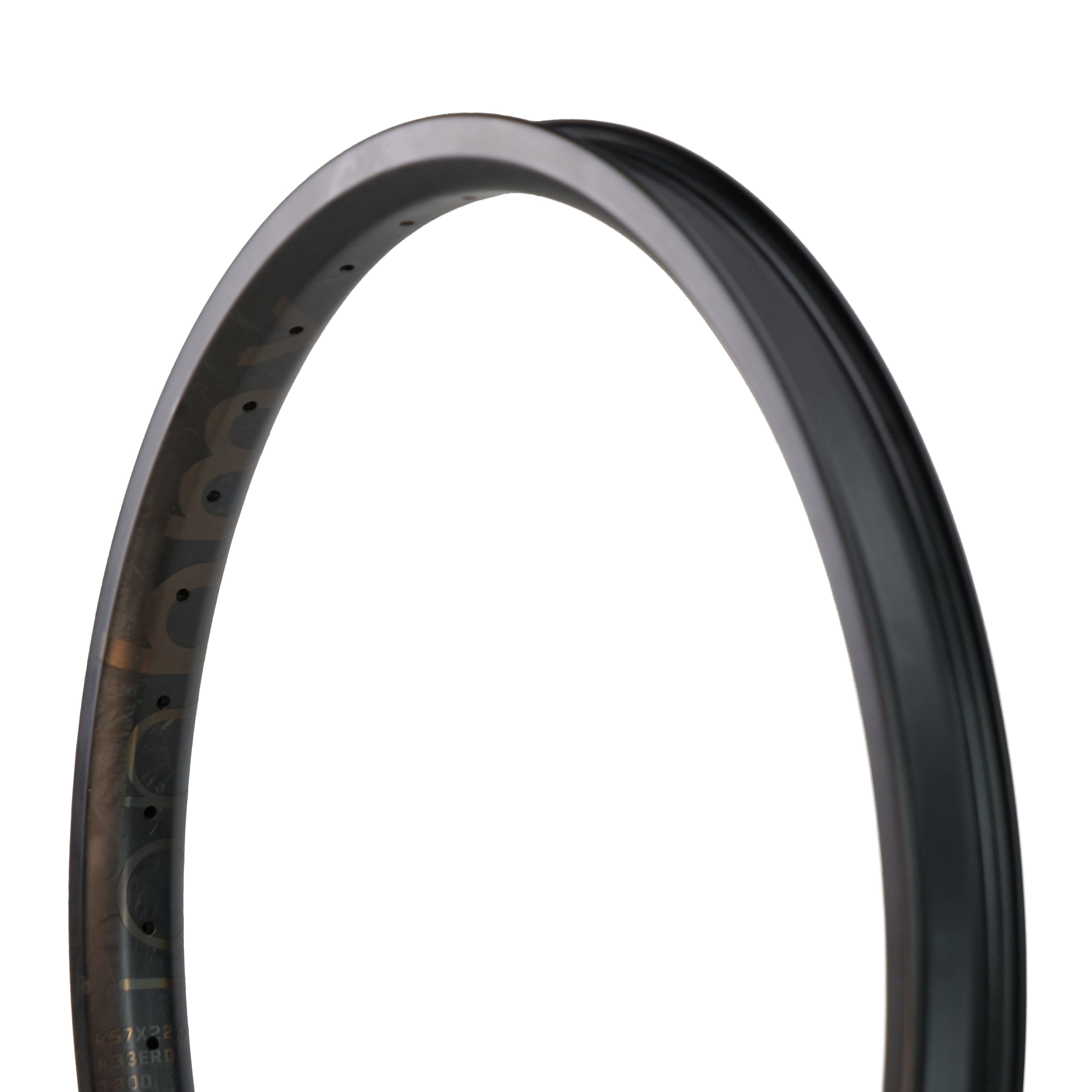 ION BMX C22 Carbon Fiber 22 Inch Brakeless Rim