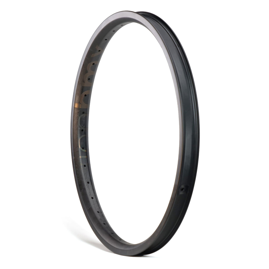 ION BMX C22 Carbon Fiber 22 Inch Brakeless Rim